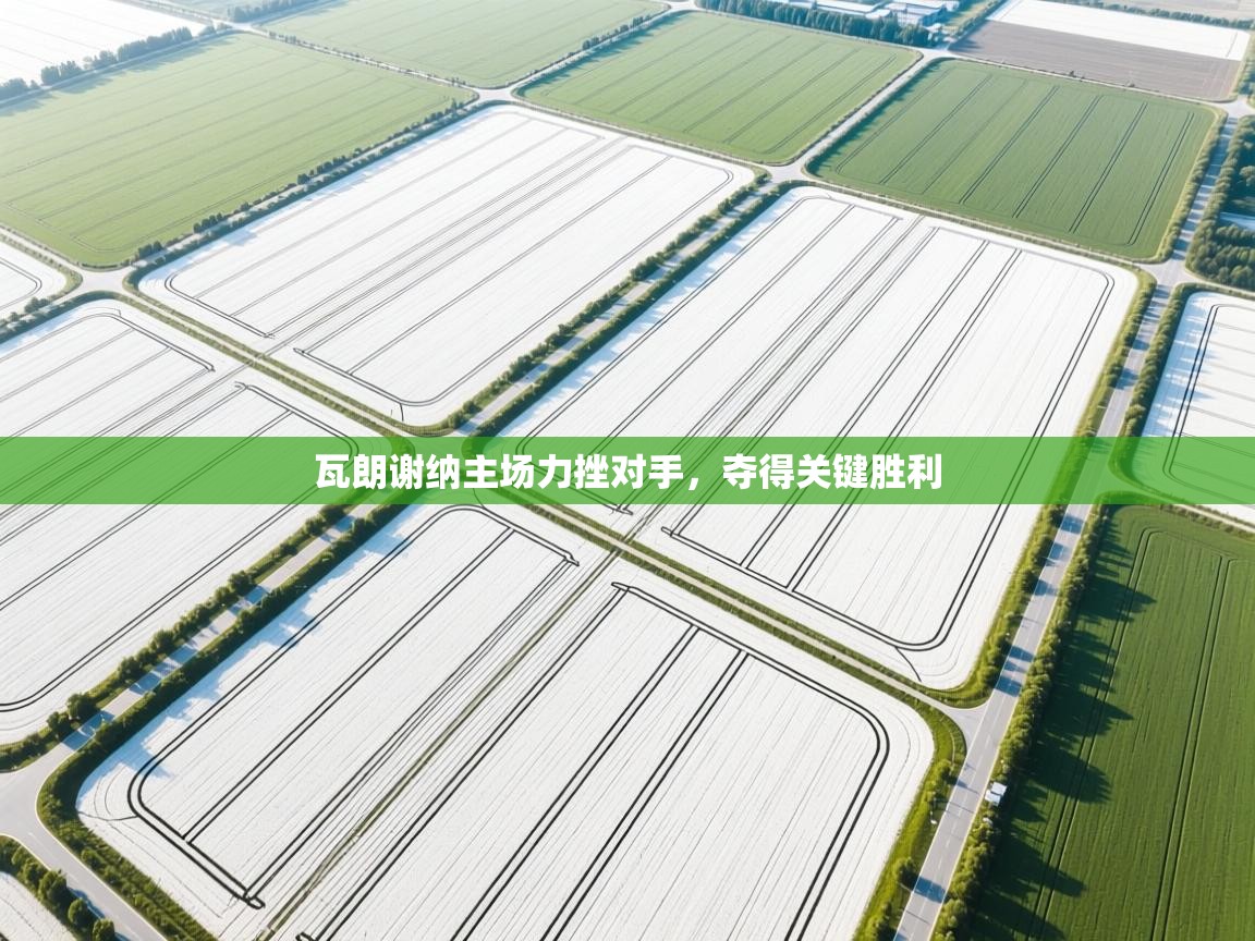 瓦朗谢纳主场力挫对手，夺得关键胜利  第1张