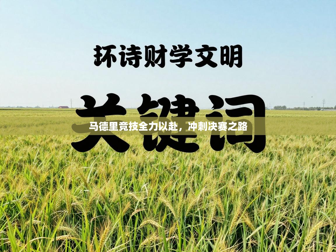 马德里竞技全力以赴,冲刺决赛之路 第2张